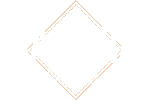 Camara Fashion